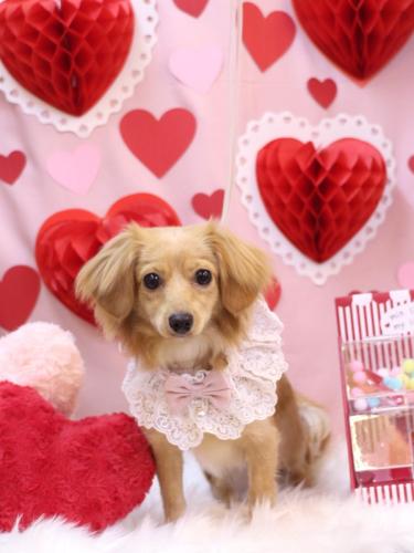 20240210ルークくん